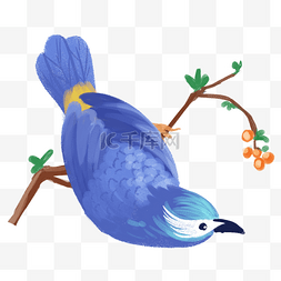 蓝色小鸟
