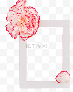 花朵康乃馨相框