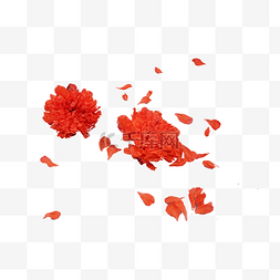 花瓣红色图片_红色石榴花花瓣