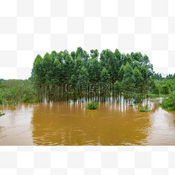 洪水淹没图片_暴雨洪水淹没农田