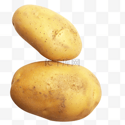 马铃薯土豆蔬菜