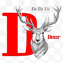 红色字母d手绘素描鹿