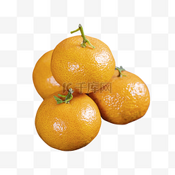 沙糖桔橘子图片_沙糖桔水果