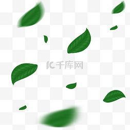 绿色的飞舞的树叶