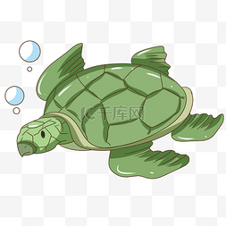海洋卡通插画图片_绿色海龟卡通插画
