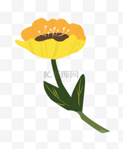 一只黄色花朵