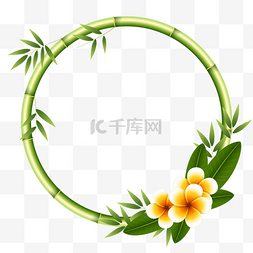圆形植物边框图片_bamboo tree 绿色竹子和鸡蛋花组成的