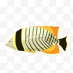 黑白黄色比目鱼