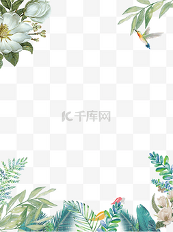 花朵植物装饰边框图片_清新花朵装饰边框