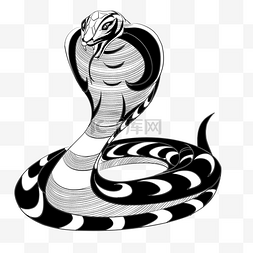 黑色的蛇装饰纹身