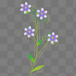 创意植物花卉图片_紫色花藤植物花卉