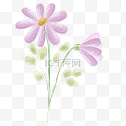 紫色花朵图片_水彩淡紫色花朵