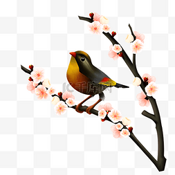 春季小鸟图片_春季站花枝上的小鸟