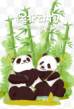 保护动物图片_熊猫动物