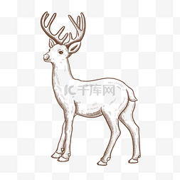 复古线描动物麋鹿