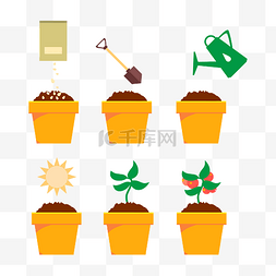加盟流程图片_种植盆栽花流程