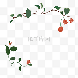 红色花藤植物图片_鲜花花朵花藤边框