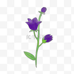 春天花朵紫色鲜花