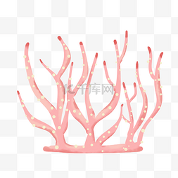 粉色珊瑚图片_粉色海洋植物
