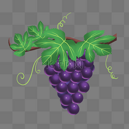 一盘西点水果图片_水果葡萄紫葡萄