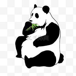 可爱的大熊猫素材图片
