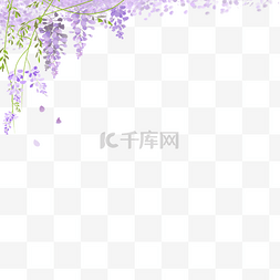 紫藤花长廊图片_紫藤花花朵
