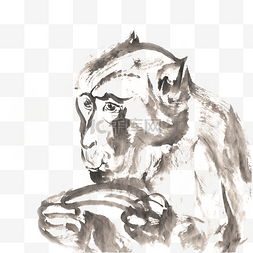 吃香蕉的猴子水墨画PNG免抠素材