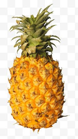 半个菠萝图片_常见的水果之菠萝