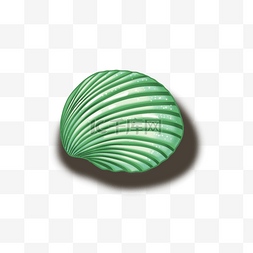 深绿色贝壳