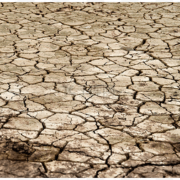 防沙漠和干旱日图片_地面裂缝干旱