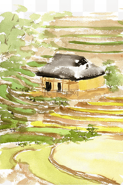 水稻风景图片_梯田中的房子