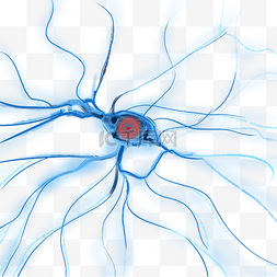 生物神经元图片_蓝色神经元系统
