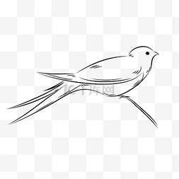 手绘线稿小插画图片_黑白春季燕子手绘