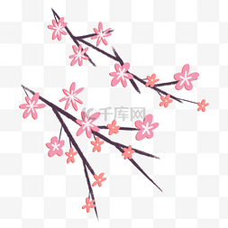 唯美春天粉色桃花树枝