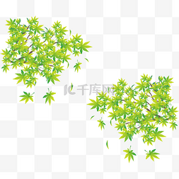 手绘唯美图片_对称的修饰绿色扁平化唯美枫树叶