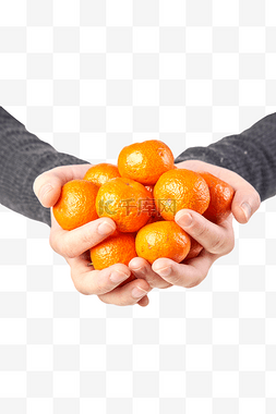 砂糖橘水果图片_砂糖橘水果