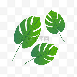 开叉的绿色叶子插画
