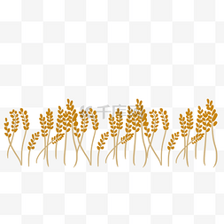 农作物麦子图片_农作物金黄麦子