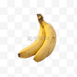 原生态植物图片_两个美味的大香蕉