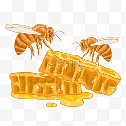 蜜蜂和蜂巢图片_黄色蜂巢和蜜蜂