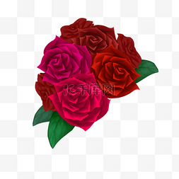 花朵素材一簇红玫瑰