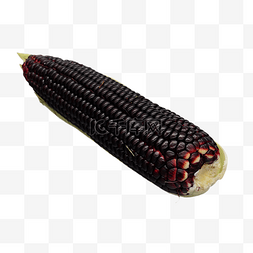 一颗黑色玉米