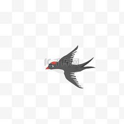 小燕子插画图片_黑色的小燕子免抠图