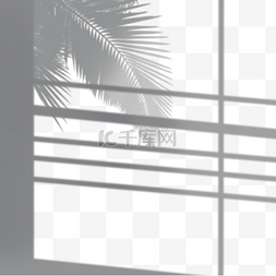办公楼窗户外棕榈剪影