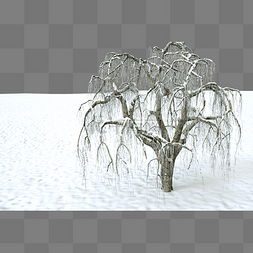 带雪的枯树