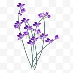 紫色花瓣手绘图片_紫色丁香花小花