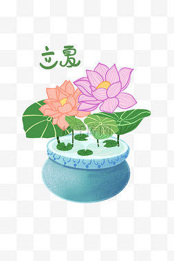 荷花色彩图片_立夏荷花插画装饰