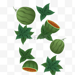 绿色的西瓜和叶子免抠图