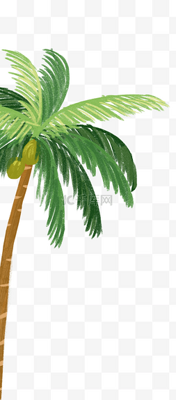 手绘卡通一棵椰子树元素