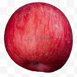 苹果红富士苹果图片_实拍果林果树一个苹果